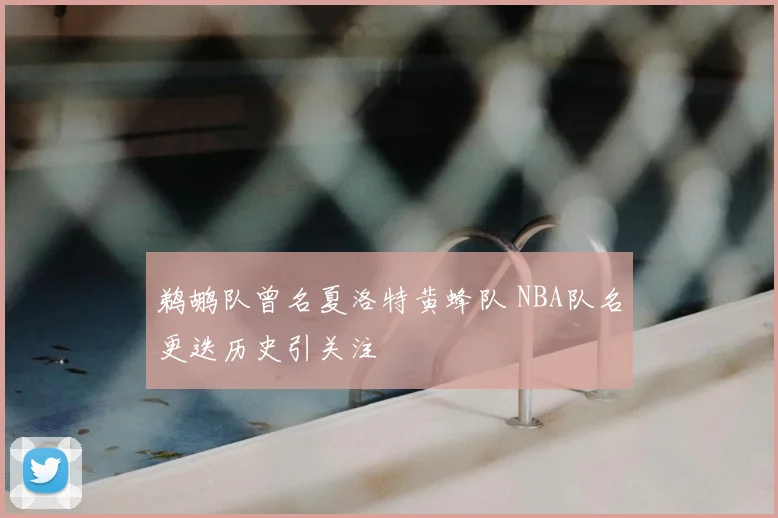 鹈鹕队曾名夏洛特黄蜂队 NBA队名更迭历史引关注
