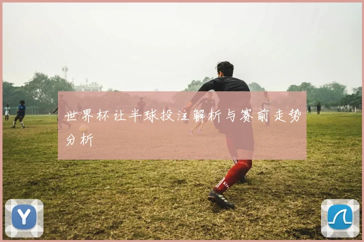 世界杯让半球投注解析与赛前走势分析