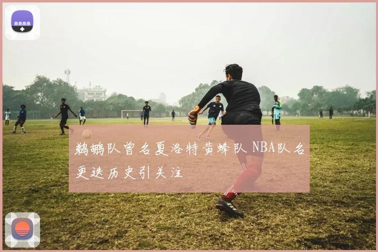 鹈鹕队曾名夏洛特黄蜂队 NBA队名更迭历史引关注