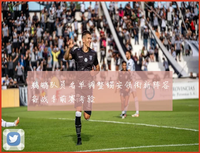 鹈鹕队员名单调整锡安领衔新阵容备战季前赛考验